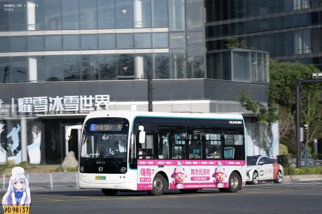 800BUS