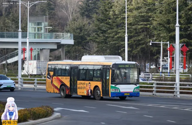 800BUS