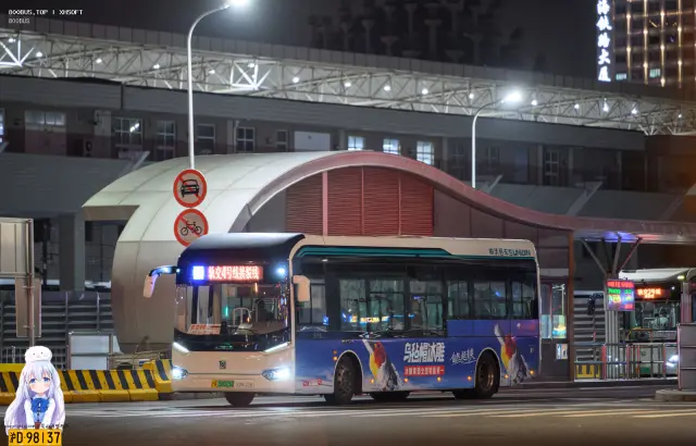 800BUS