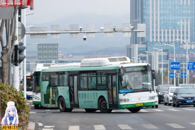 800BUS