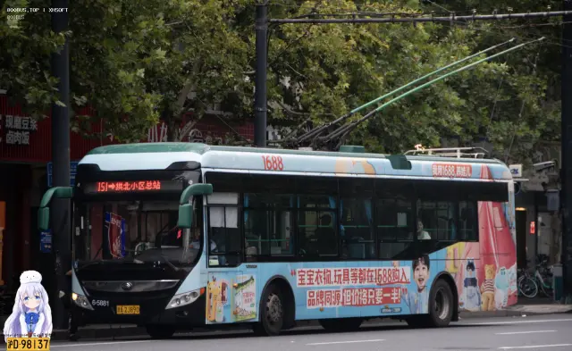 800BUS