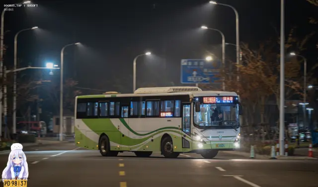800BUS