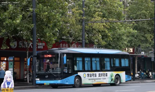 800BUS