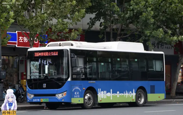 800BUS