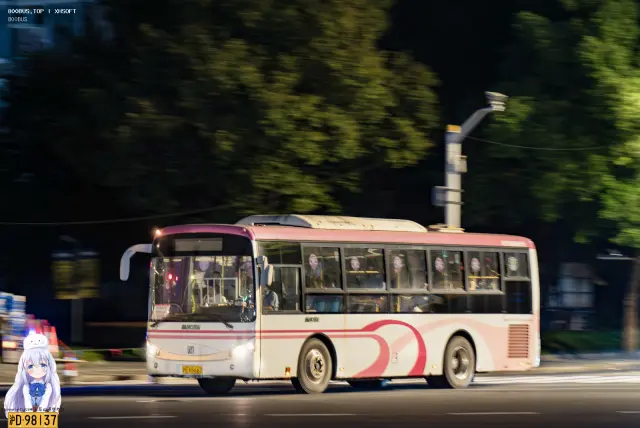 800BUS