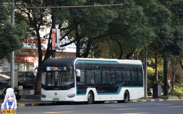 800BUS