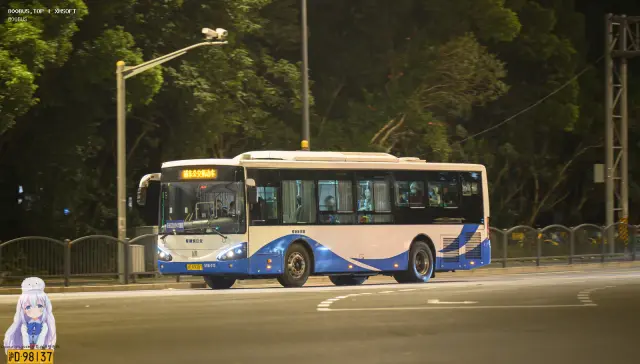 800BUS