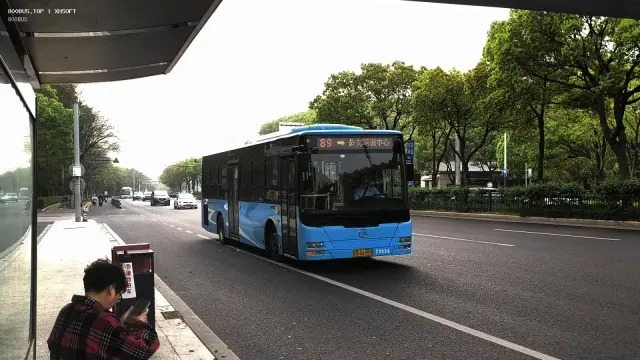 800BUS