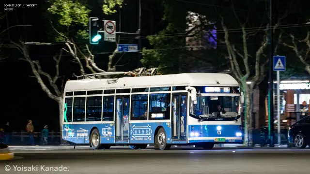 800BUS