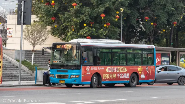 800BUS
