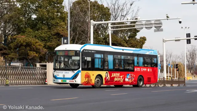 800BUS