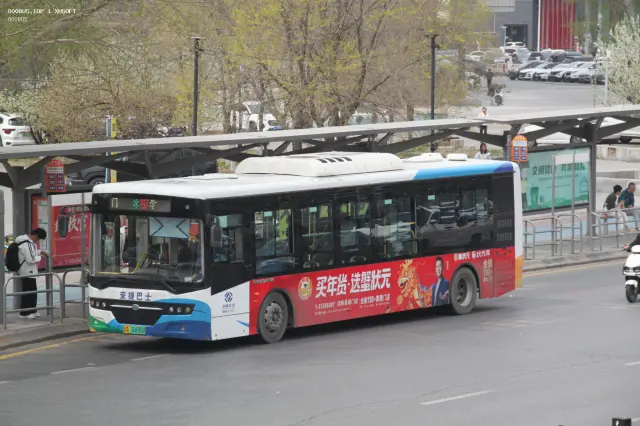 800BUS