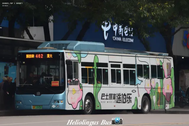 800BUS