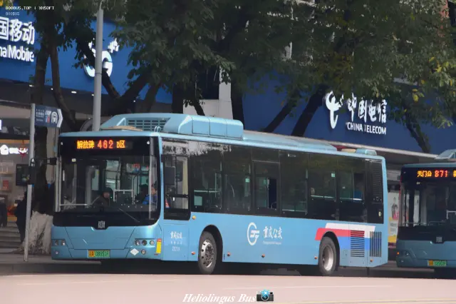 800BUS