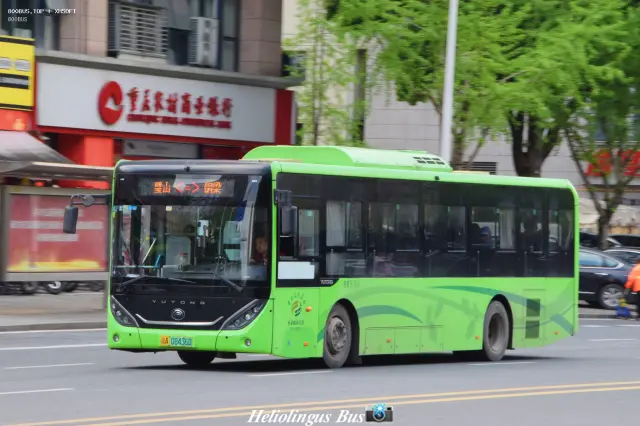 800BUS