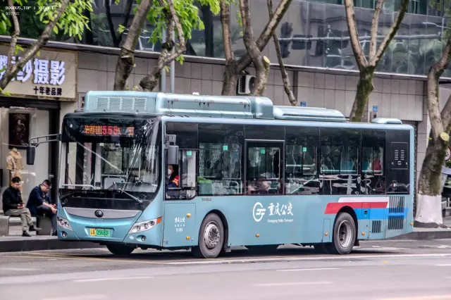 800BUS