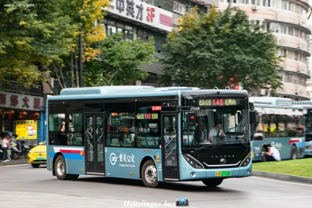 800BUS