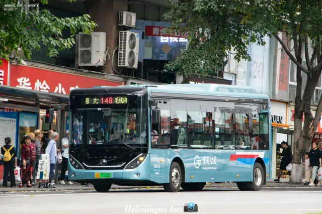 800BUS