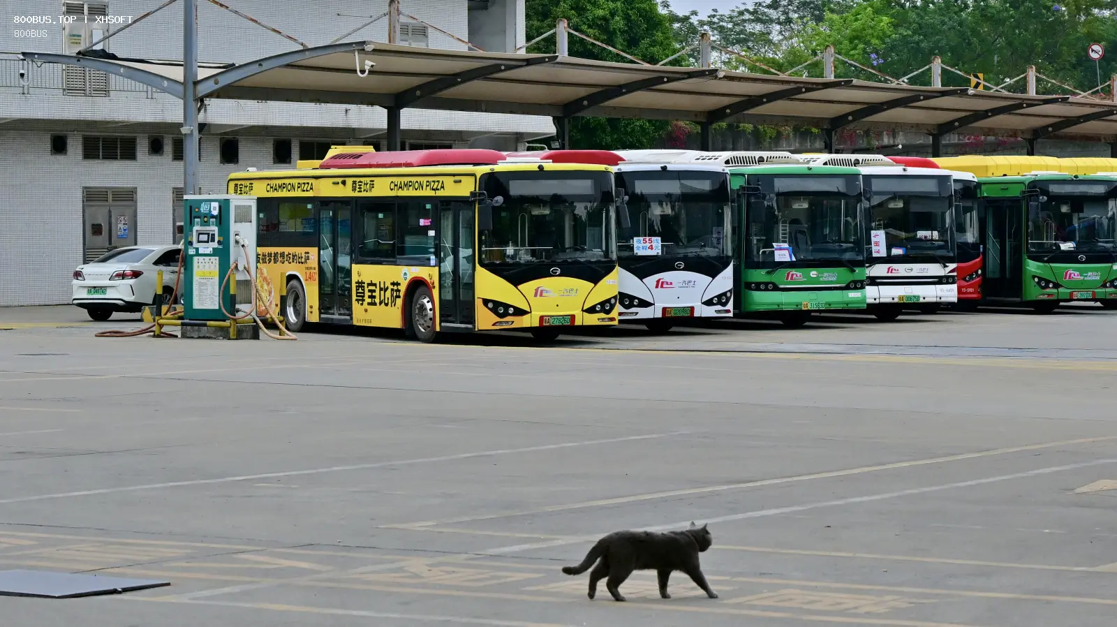 Bus Archive