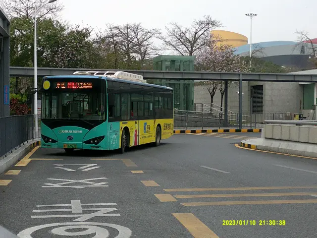 800BUS