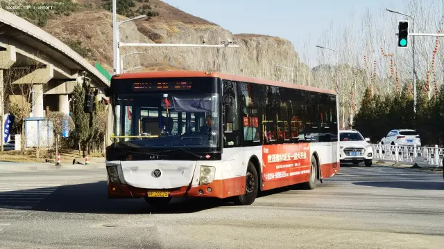 800BUS
