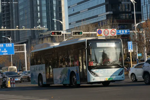 800BUS