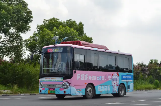 800BUS