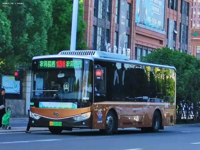 800BUS