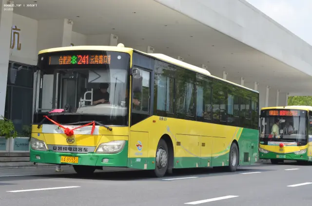 800BUS