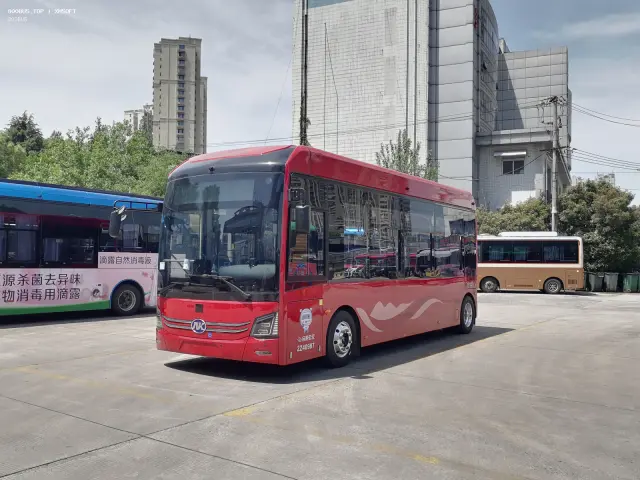 800BUS