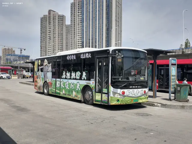 800BUS