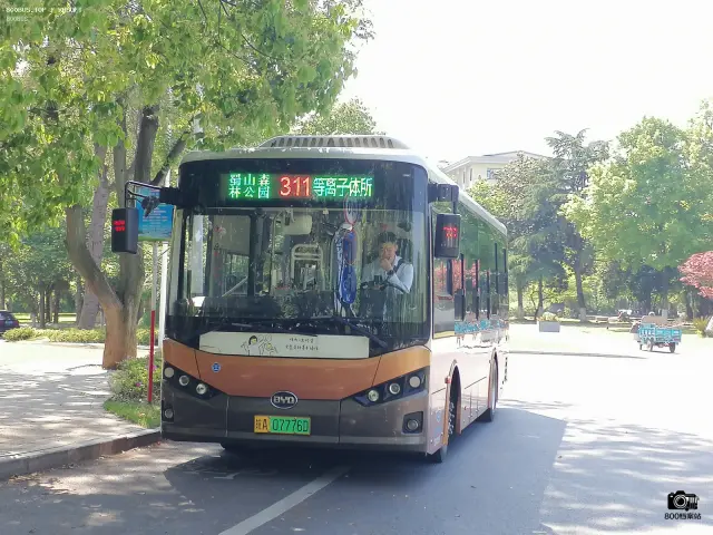 800BUS