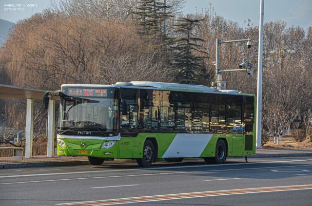 800BUS