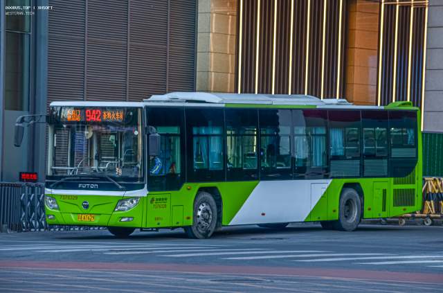 800BUS