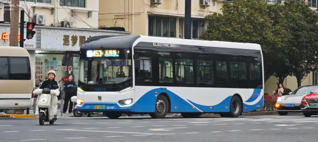800BUS