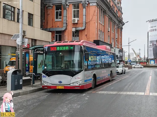800BUS
