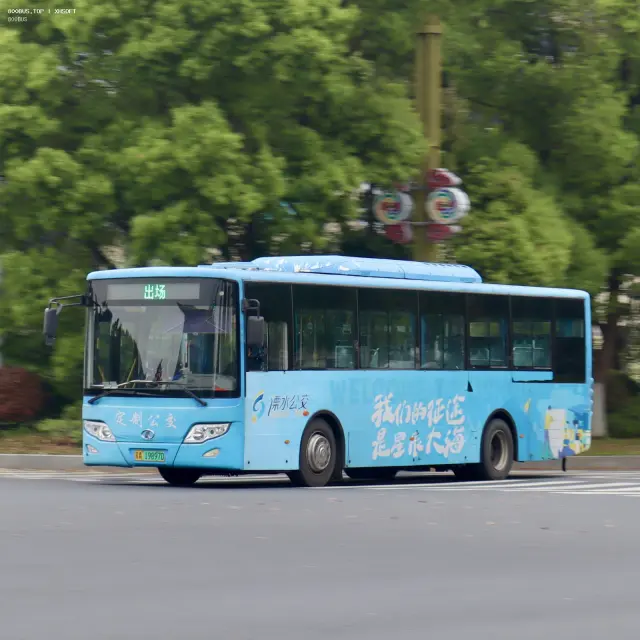 800BUS
