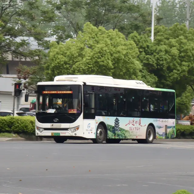 800BUS