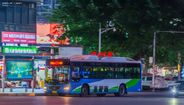 800BUS