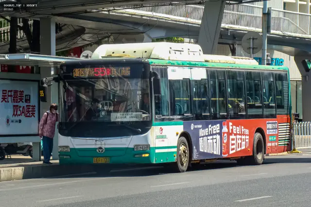 800BUS