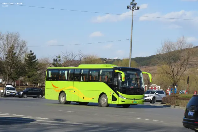 800BUS