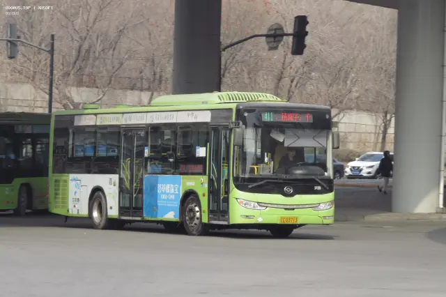 800BUS