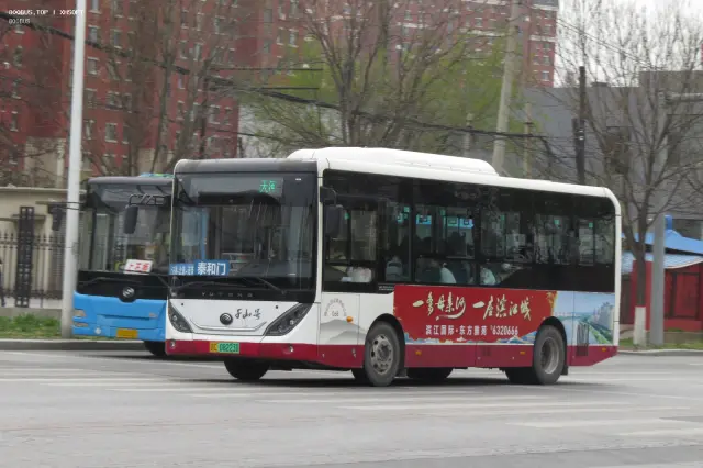 800BUS