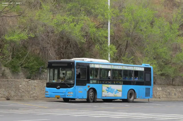 800BUS