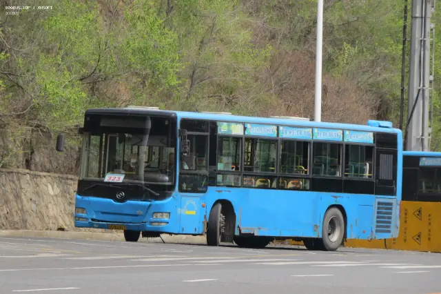 800BUS