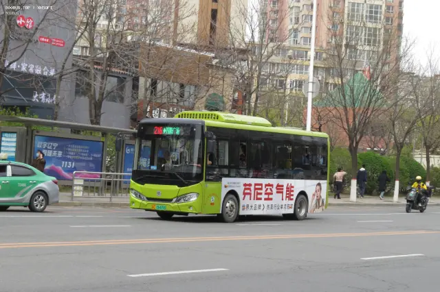 800BUS