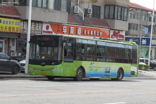800BUS