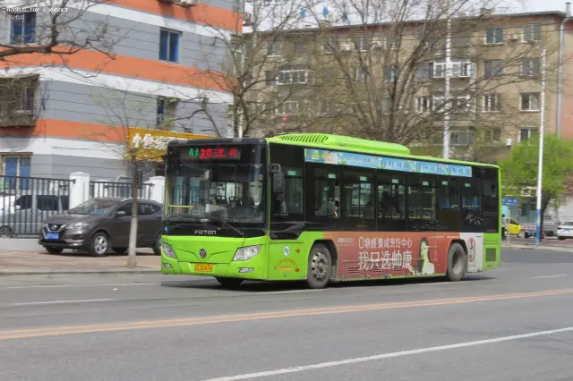 800BUS