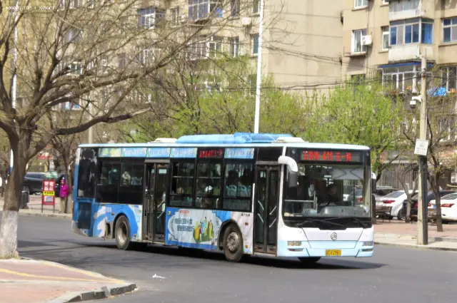 800BUS