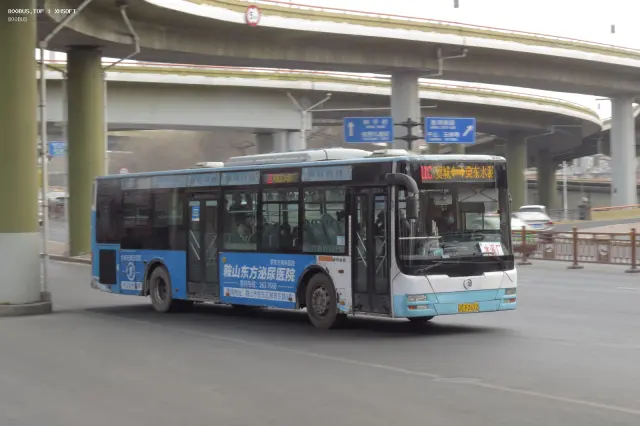 800BUS